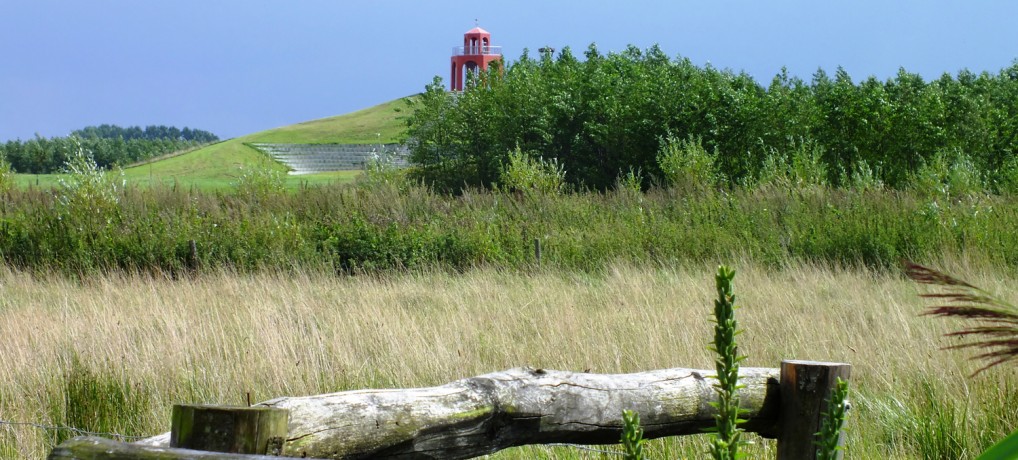 Natuurbegraafplaats Reiderwolde