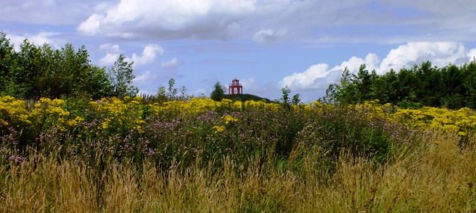 In harmonie met de natuur