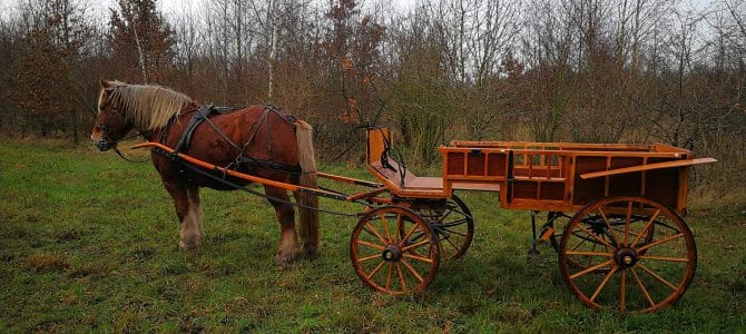 Uitvaart te paard